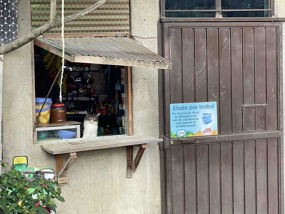 french-riviera-wedding-photographer